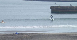 140703taito1230-6.jpg